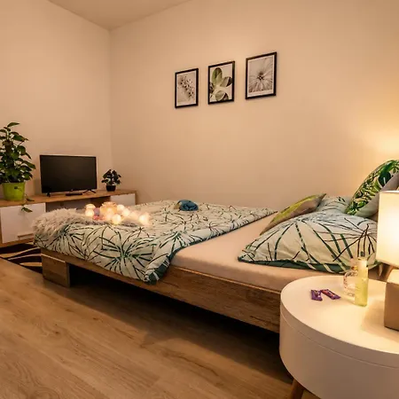 شقة Apartia Krenova 31, Brno-center *