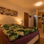 Apartia Krenova 31, Brno-center *