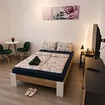 Apartia Krenova 31, Brno-center Brno