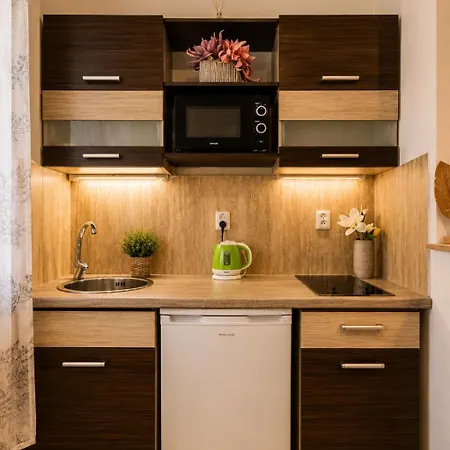 Apartmán Křenka Brno-střed Brno