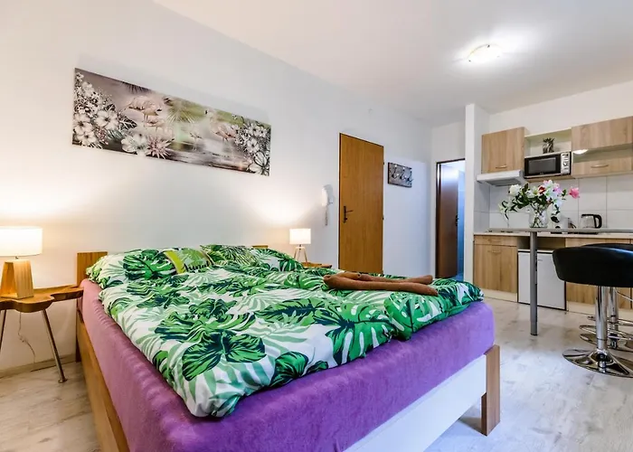 Apartia Krenova 31, Brno-center * Brno