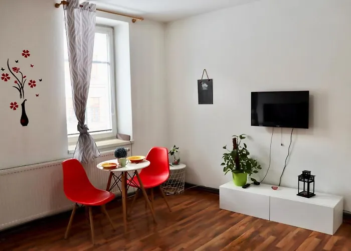 Apartia Krenova 31, Brno-center *