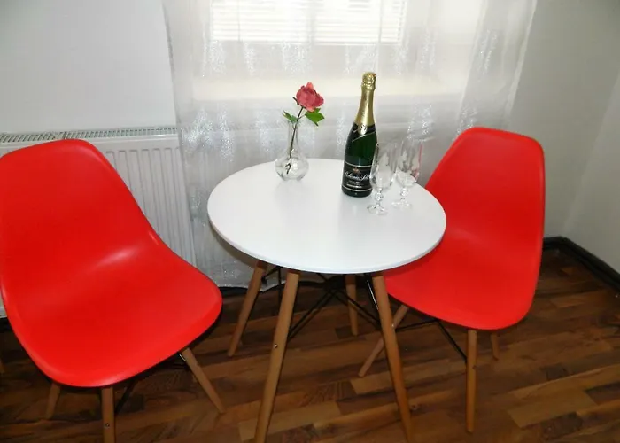 Apartia Krenova 31, Brno-center *